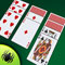 Best Classic Spider Solitaire brings the popular spider version game of the solitaire card game to the palm of your hand. As with every Solitaire game it is your objective to sort cards onto piles. Each pile can only contain one color and has to consist of all cards starting and start with the king. A card - or a group of cards - can be moved to one of the other columns if the topmost cards value is exactly one lower from the card it’s being moved on.
Play Best Classic Spider Solitaire now for free and enjoy this card game masterpiece!